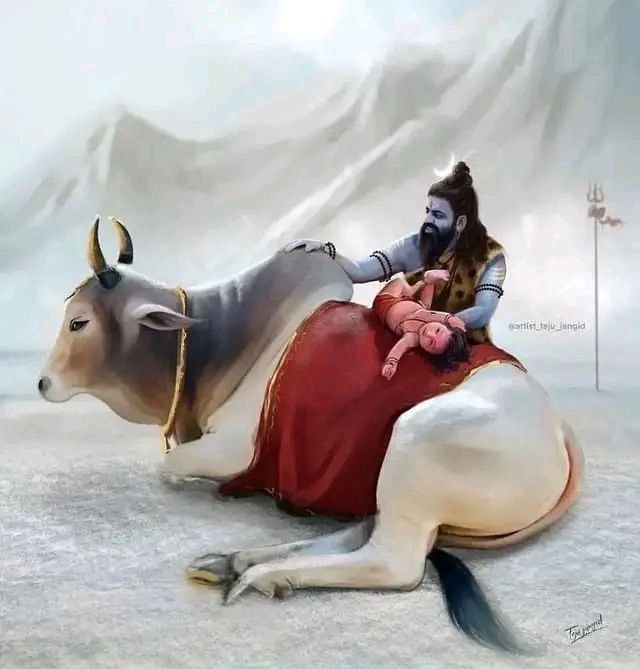 a person riding a bull